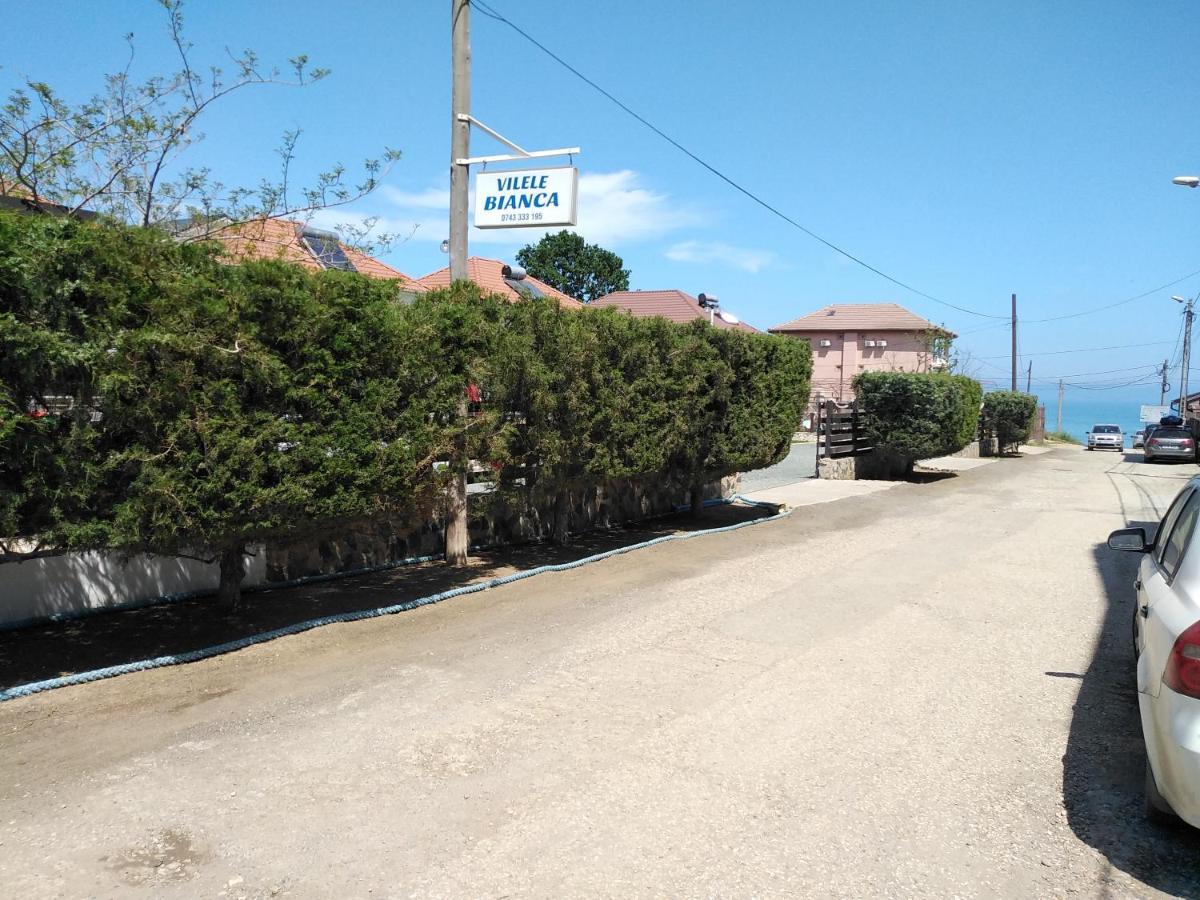 Vilele Bianca Homestay *