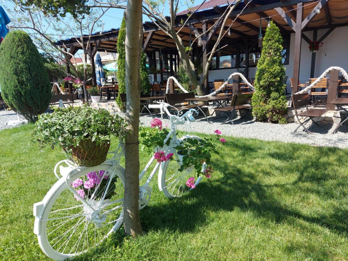 Homestay Vilele Bianca 2 Mai